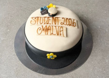 Studentmössa 15 bitar